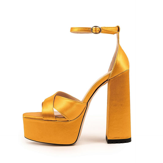 Waterproof Platform Thick Heel Ankle-strap Buckle High Heels